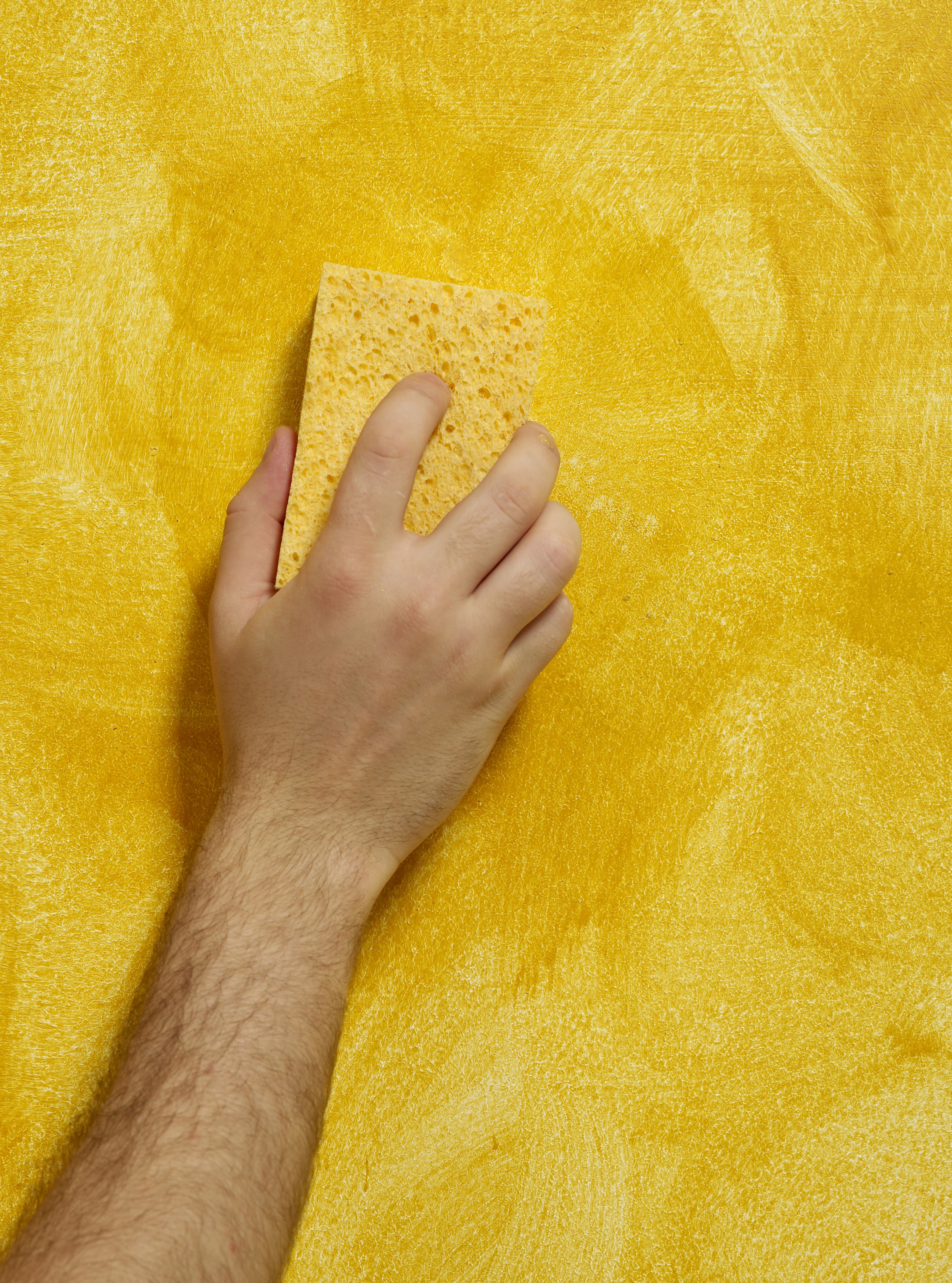 Sponge
