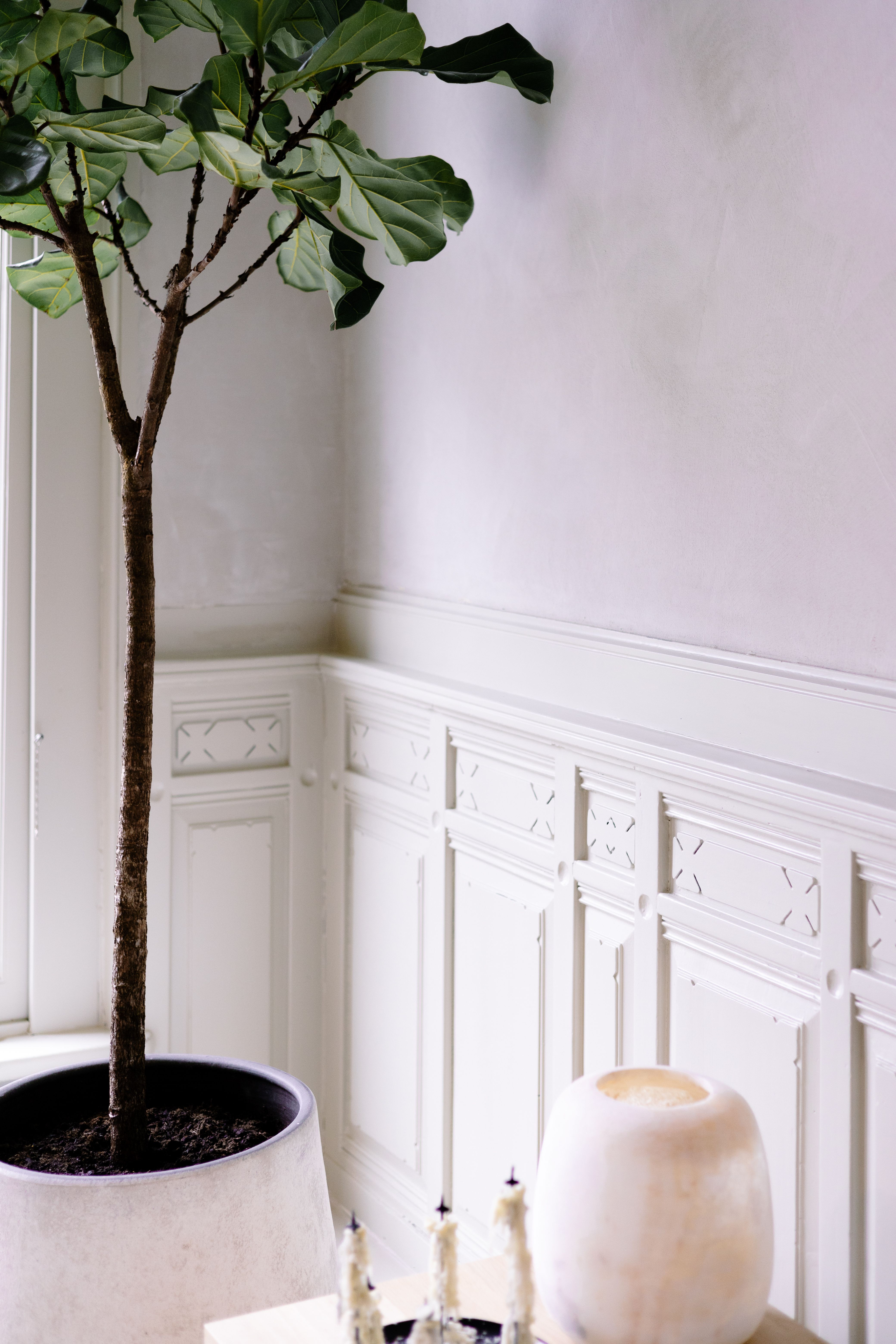 Interior wall finished with JCoat decorative plaster